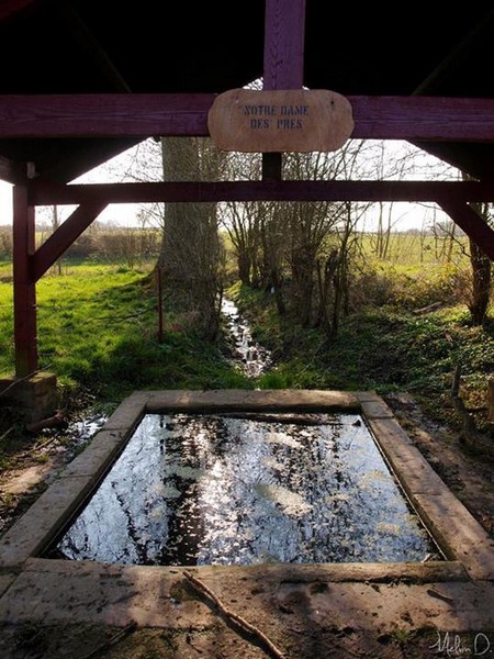 Marche à Preux au Bois