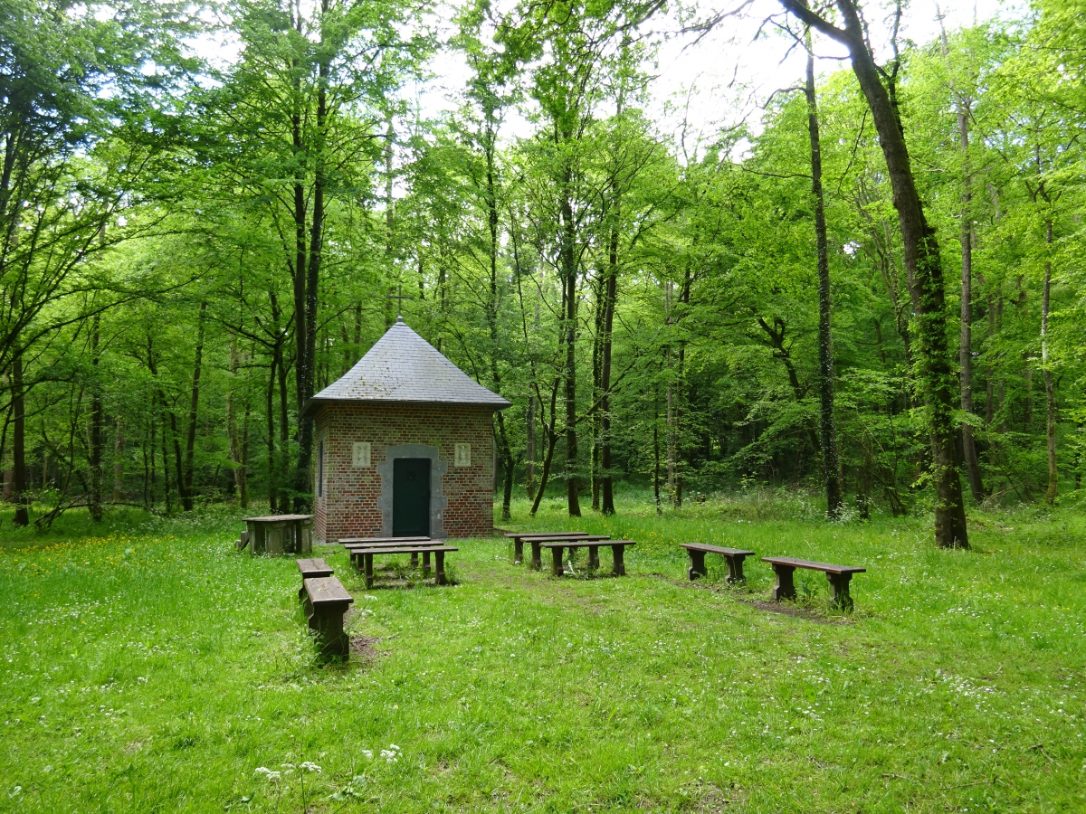 Marche Sentier de Bois l'Eveque