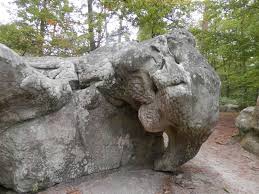 Randonnée en Forêt de Fontainebleau - Les Gorges d'Apremont