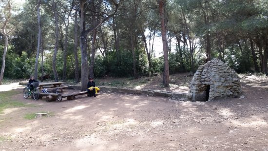 Balade aux bois des Aresquiers