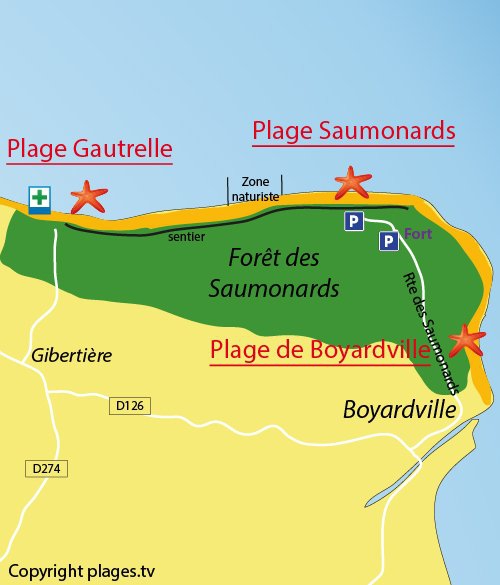 Planche à voile à Oleron