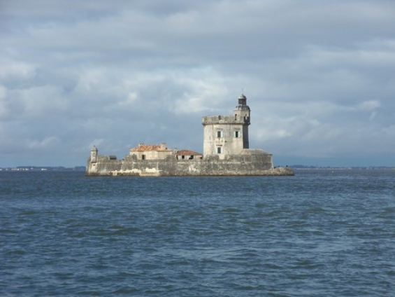 Découverte du Bassin de Marennes-Oléron en bateau