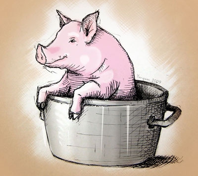 Les abeilles tuent le cochon!