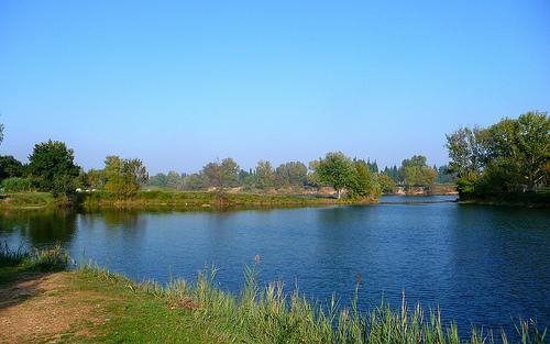 JOURNEE EN PLEIN AIR A L'ETANG DE VESTRIC