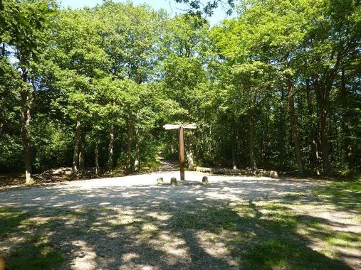 P'tite rando en forêt de l'Isle-Adam