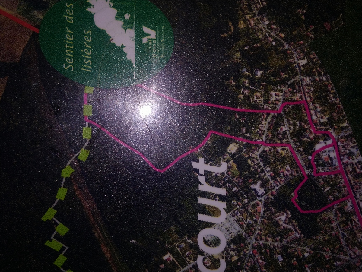 SUR LE SENTIER DES LISIÈRES :la boucle vers Bessancourt...