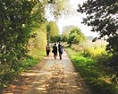 marche au vignoble