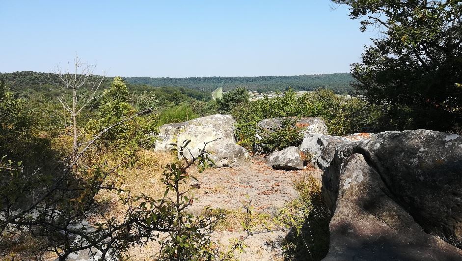 Balade en Forêt de Fontainebleau. Rocher Cassepot - Mont Ussy