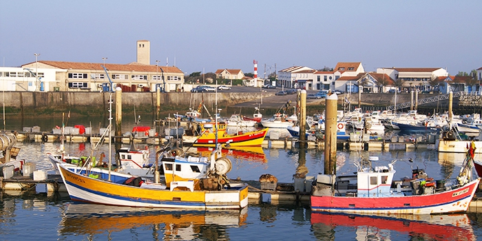 Visite guidée port de peche
