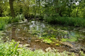 Balade-découverte nature au bord de l'eau