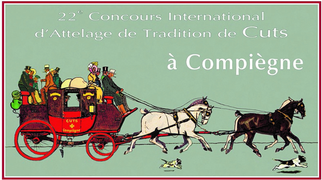 Concours d'attelage