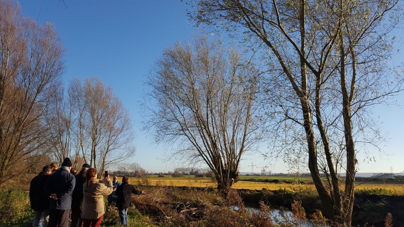Rando découverte du marais de Guines