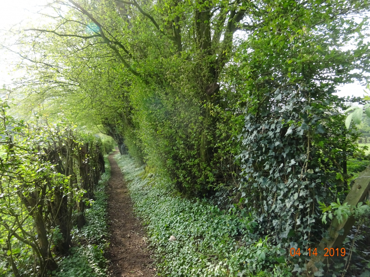 Marche circuit de Preux au Bois