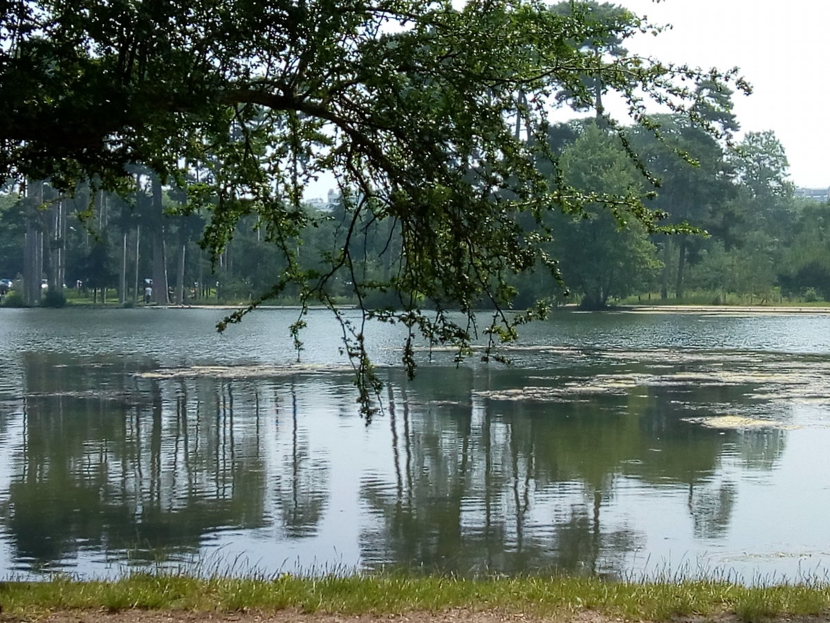 Marche avec bâtons - bois de Boulogne