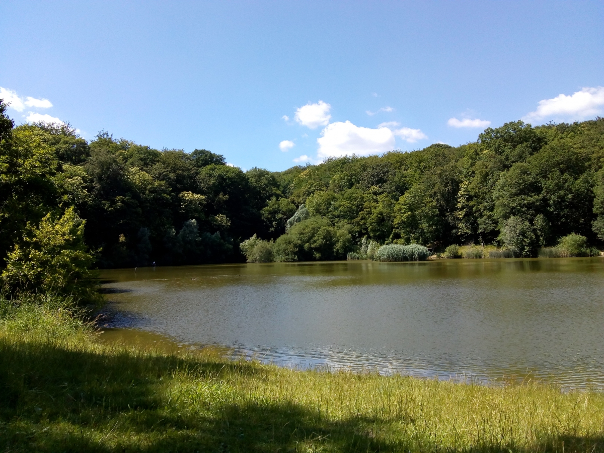 Randonnée Forêt de Meudon