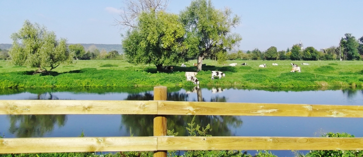 RANDONNÉE LES DAMPS
