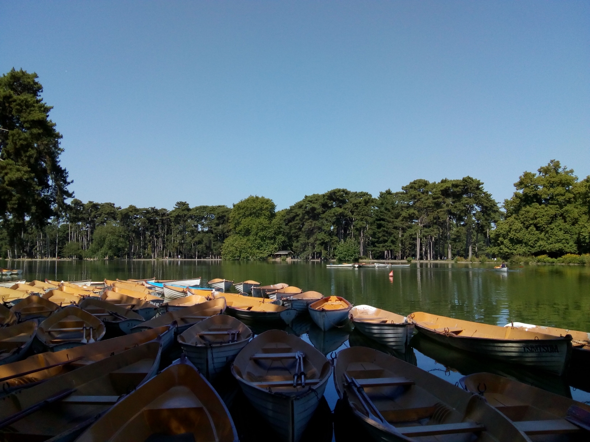 Marche rapide et sportive avec bâtons - bois de Boulogne