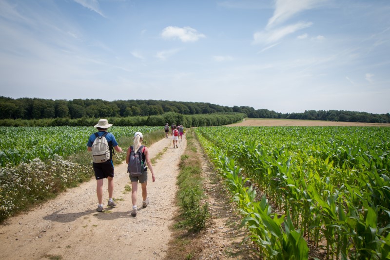 Randonnée entre Flandres et Artois dans la Réserve Naturelle  des étangs du Romelaëre