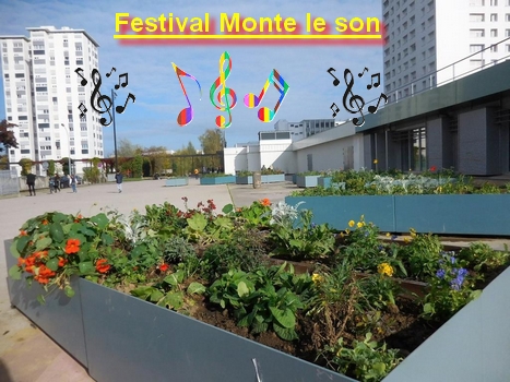 Festival Monte le son