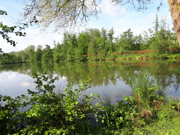 Marche de 8,5 kms