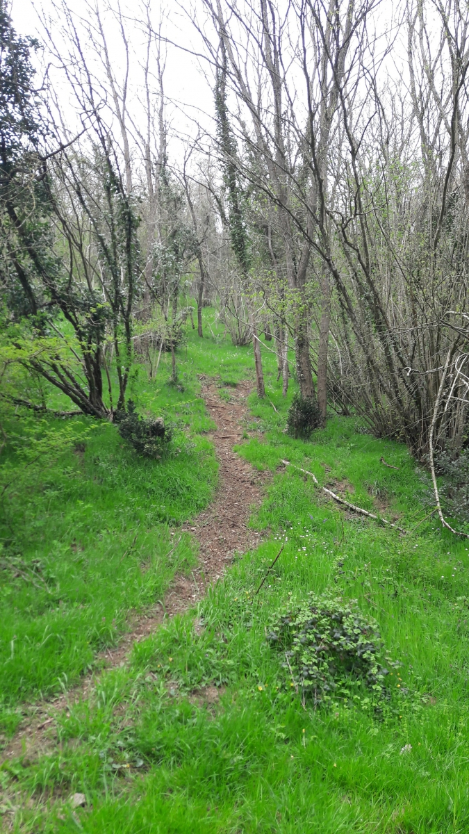 Journée de balade en forêt