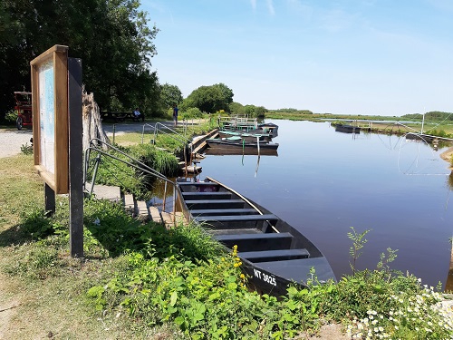 Mensuelle pique-nique