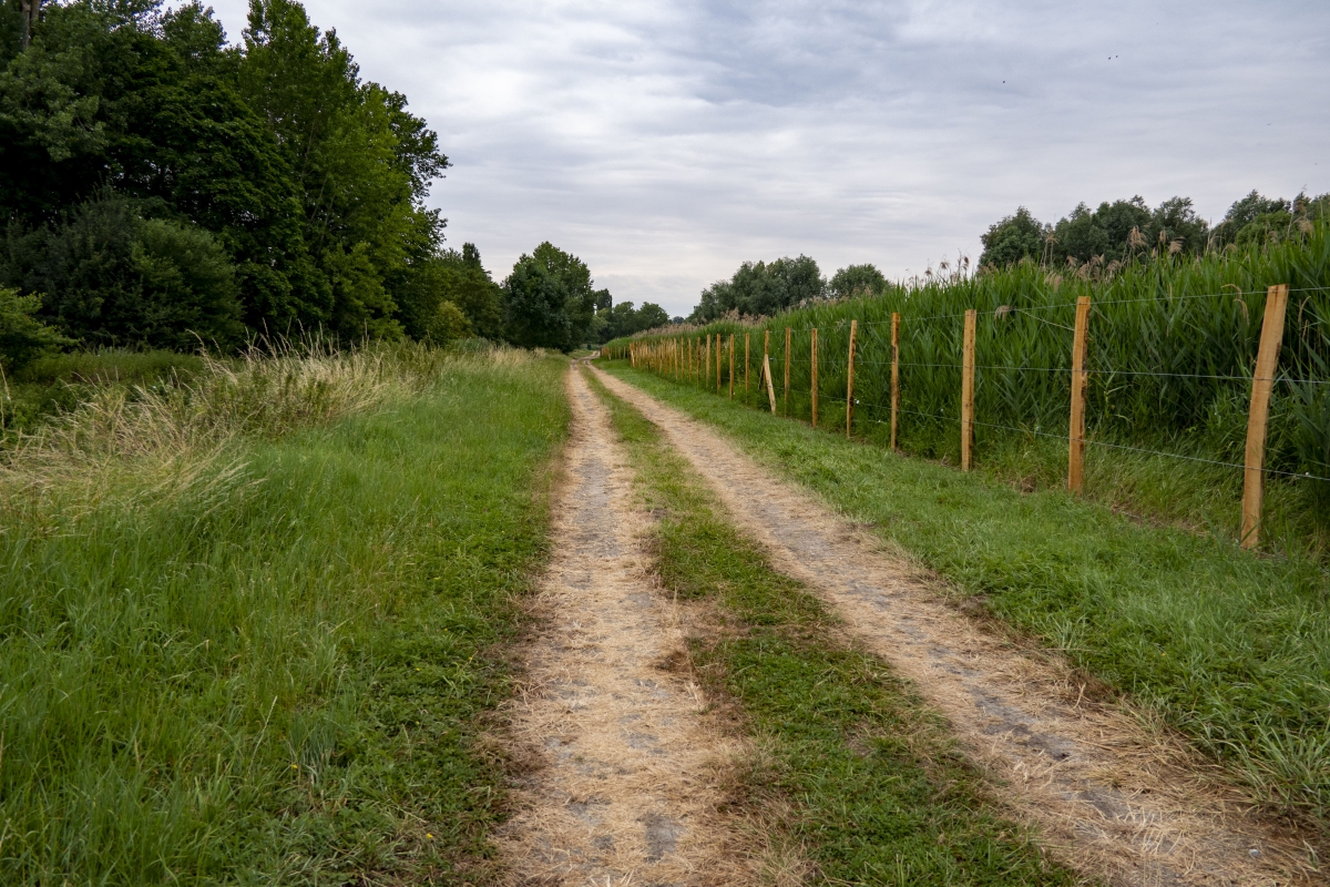 promenade de l'Orge sur le site Perray-Vaucluse.