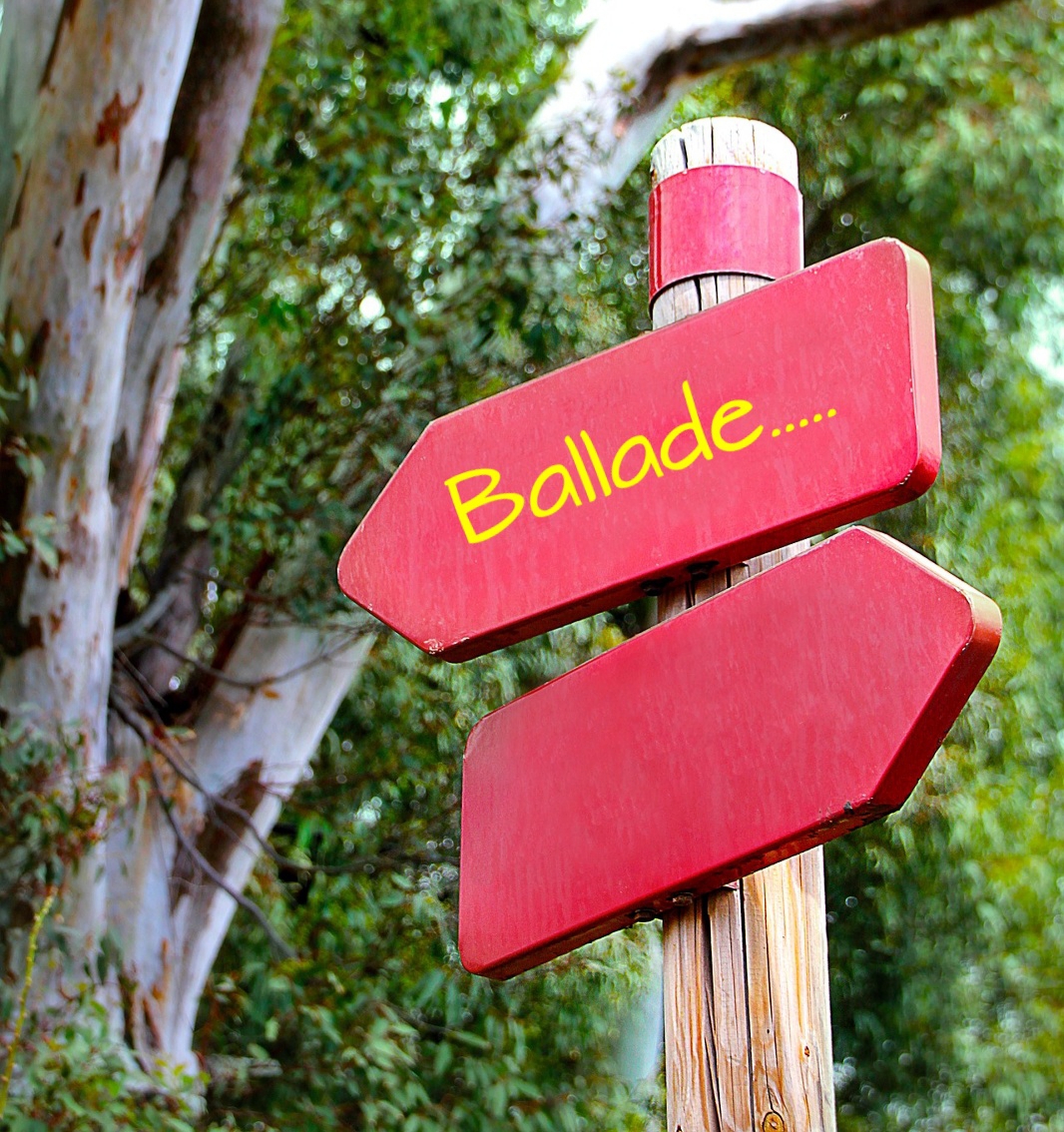 BALADE GRATUITE sur le thème de la nature