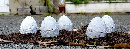 AT231 : Croutes / Mycellium