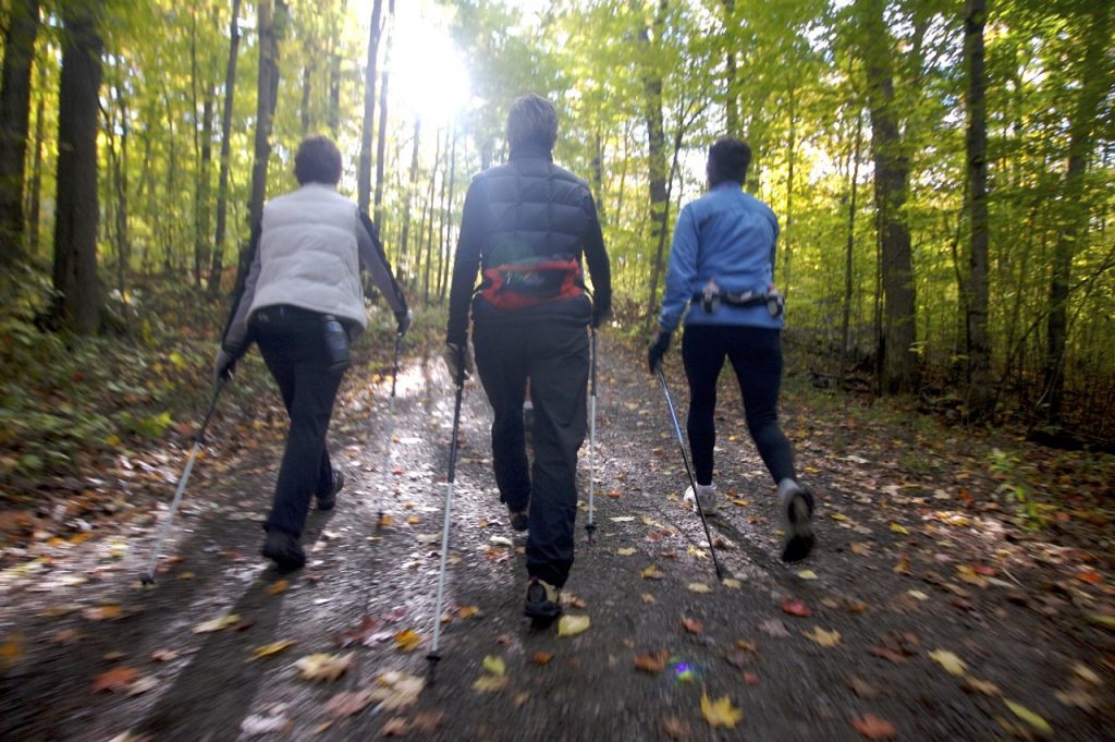 Marche Active avec bâtons - Bois de Boulogne - La Grande Cascade