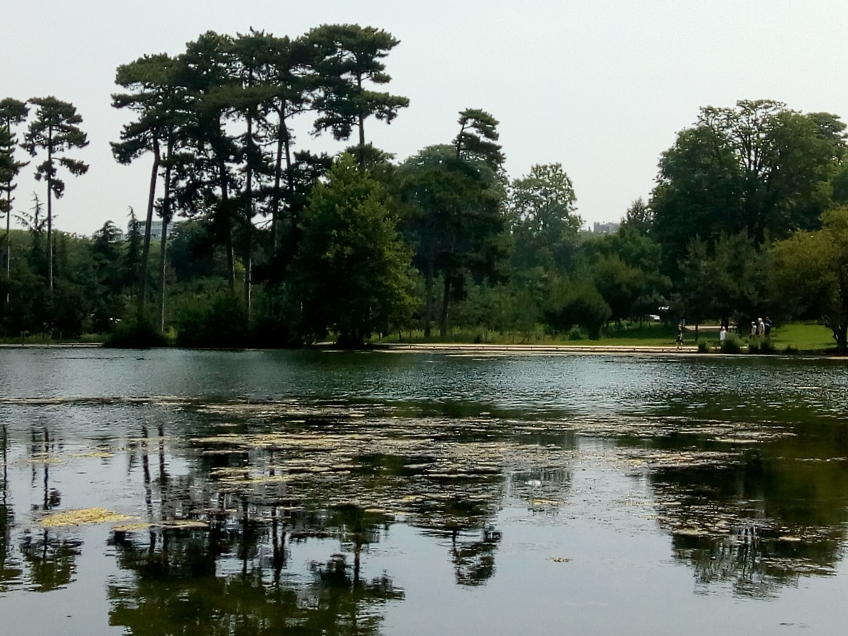 Marche rapide avec bâtons - bois de Boulogne