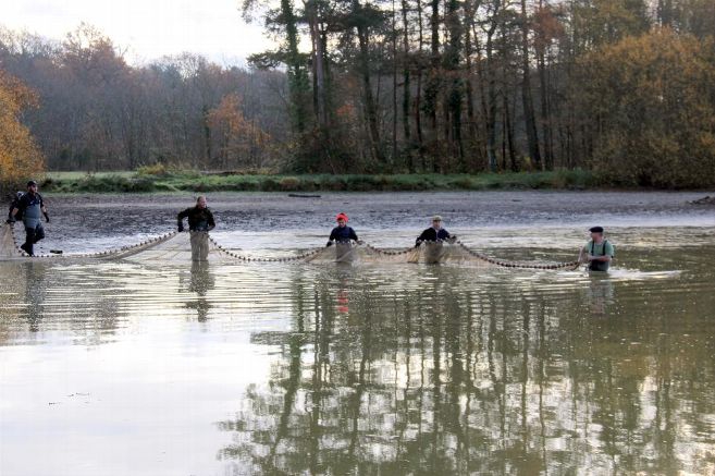 Pêche d'étang au Ciran