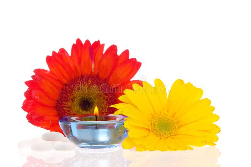 THE OU CAFE AUTOUR DE L'ASTROLOGIE