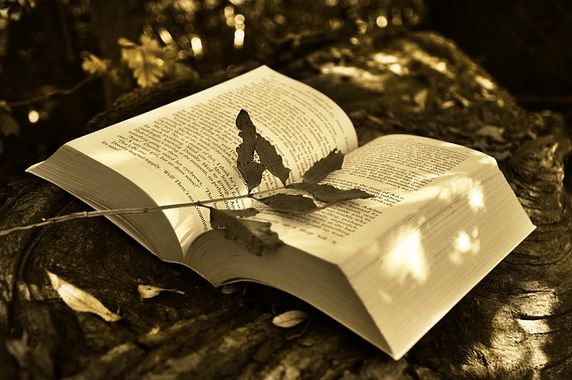 lecture publique