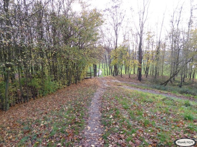 Marche de 8,5 kms