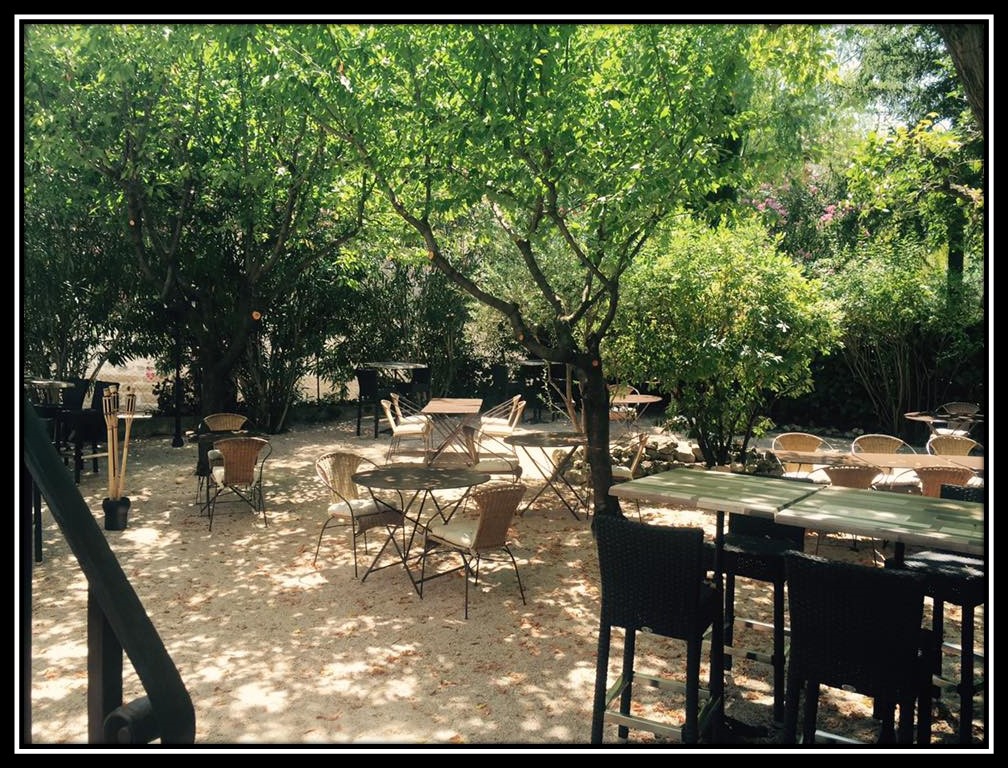 Une soirée entre amis dans un jardin ombragée.