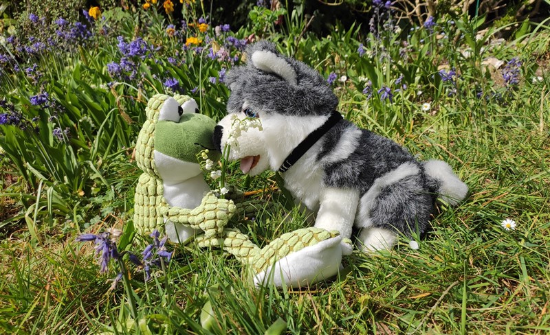 Rencontres ou Images insolites ( en photos)