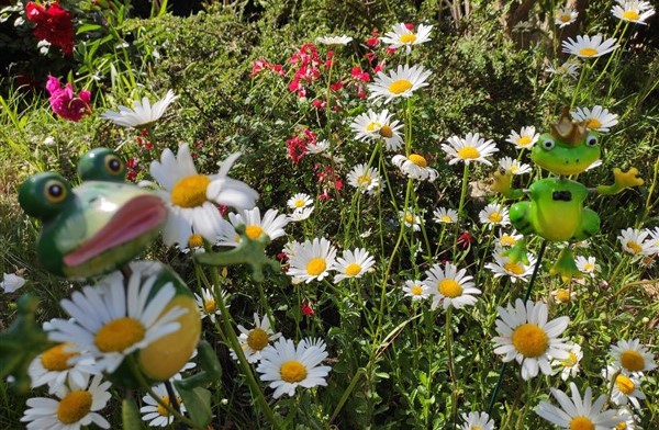 L'arrivée de l'été avec Juin ! (en photos)