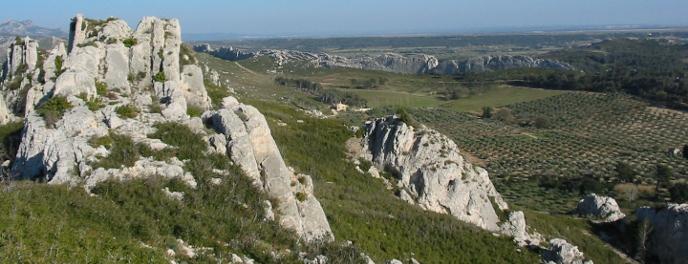 une ballade dans les Alpilles