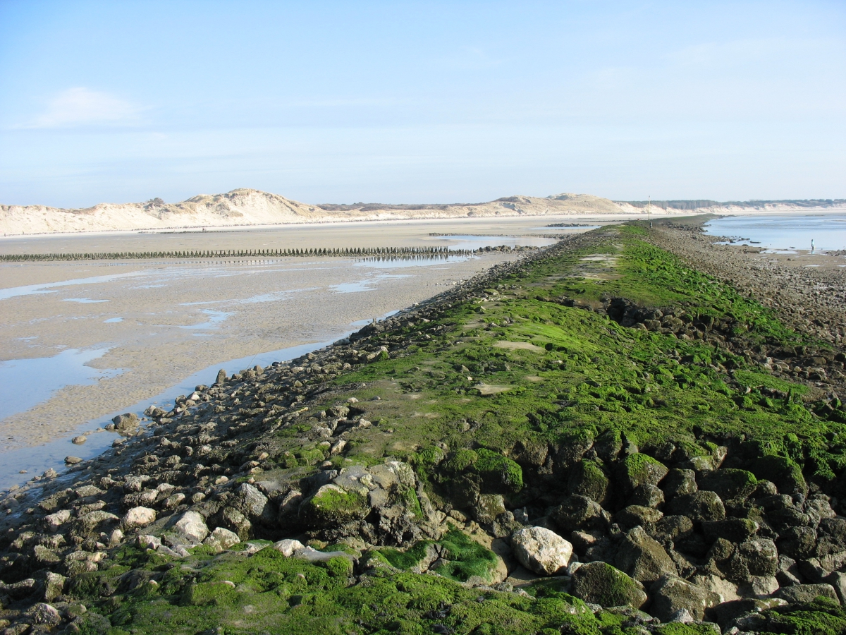 Inter antennes Berck : Randonnée la baie d'Authie