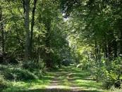 Marche de 8,5 kms