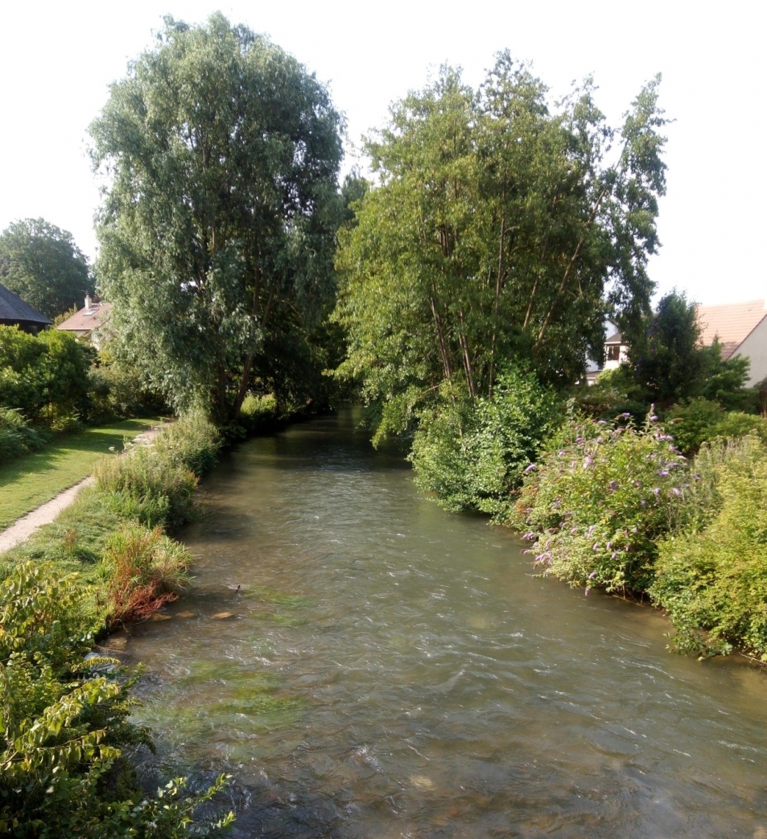 Les balades de Rémi (en photos)
