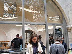Musée du Sel