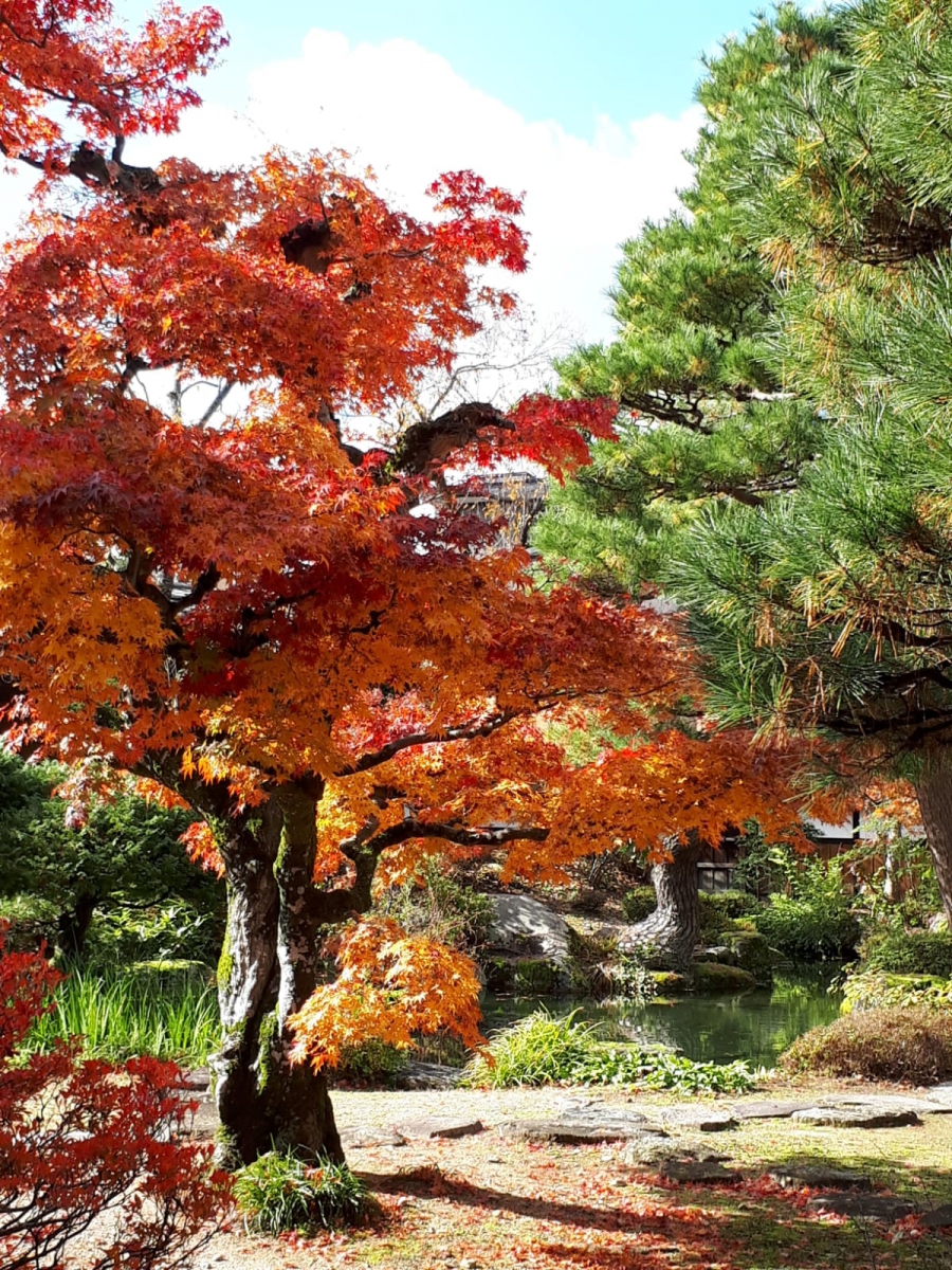 Accueil des nouveaux dans le respect des gestes barrières et du port du masque