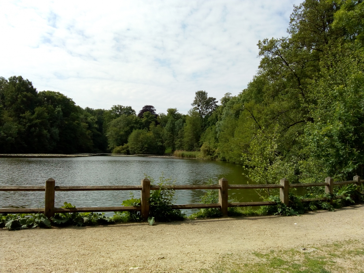 Balade en forêt de La Malmaison