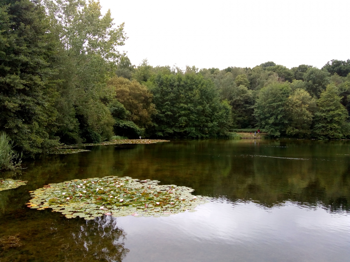 Randonnée 12km forêt de Meudon et Bois de Clamart