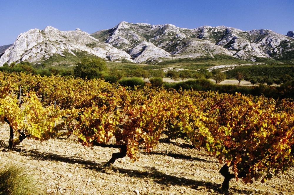 Ballade dans les Alpilles : Le Gaudre de Valmouriane