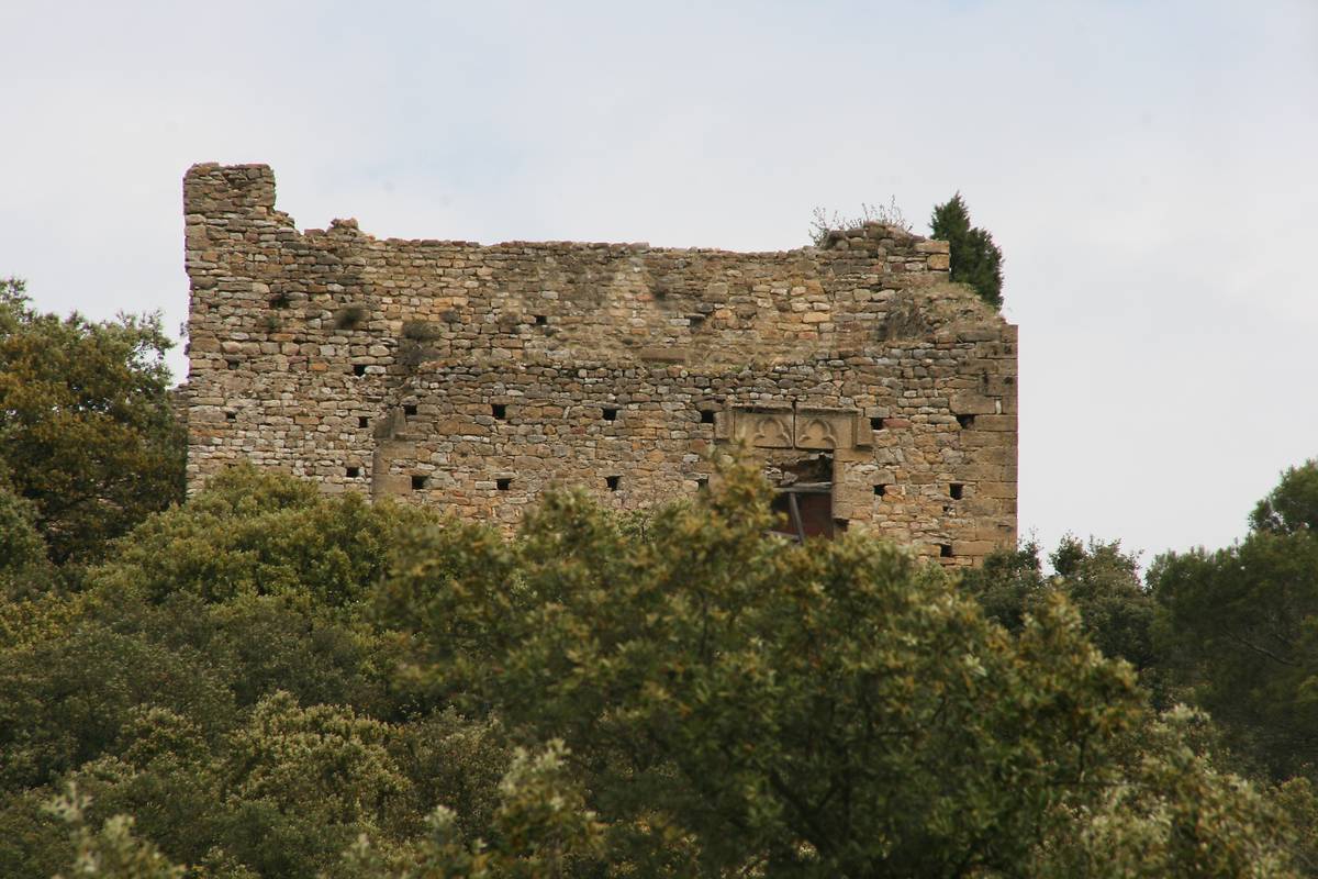 Ballade en forêt à serignan du comtat