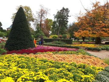 Jardin des plantes déco Halloween (en photos)