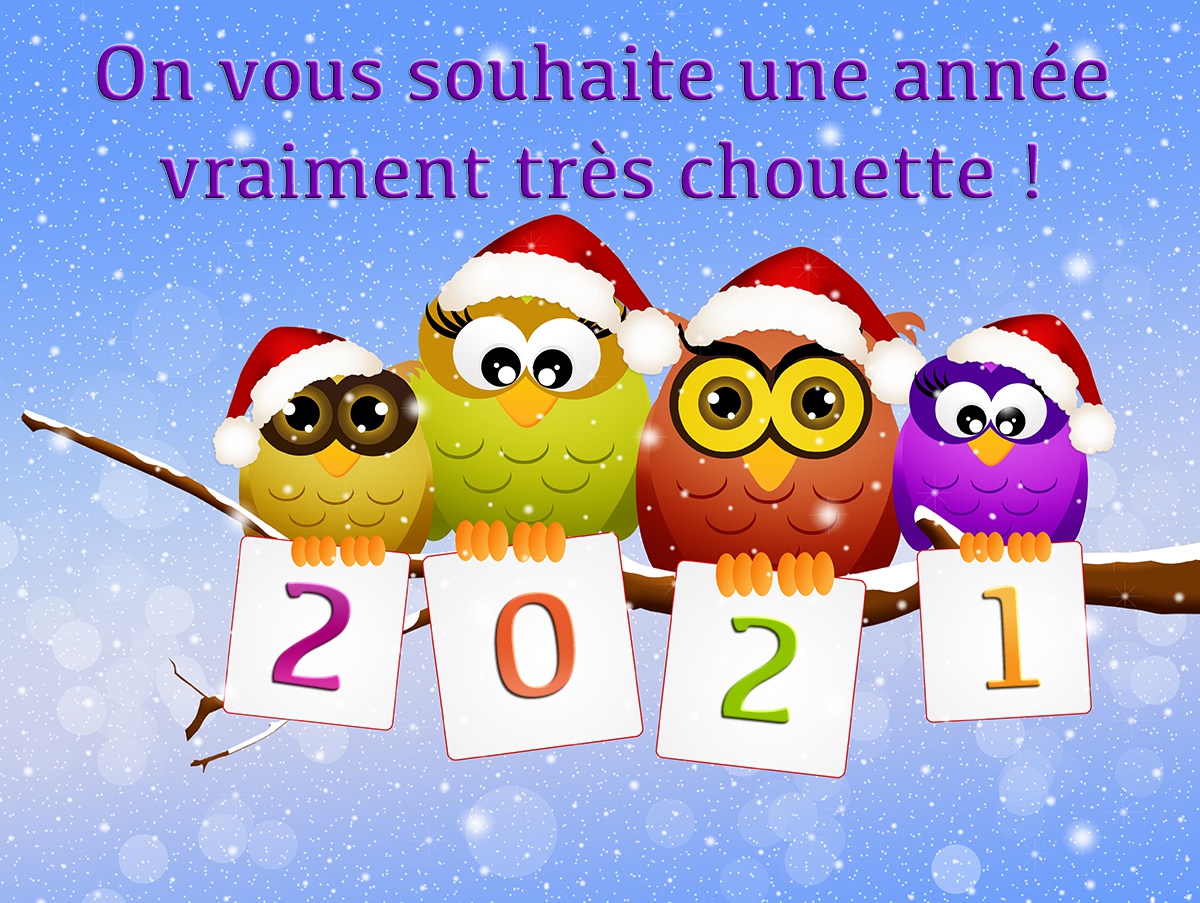 Et si on se souhaitait la bonne année là en virtuel!!